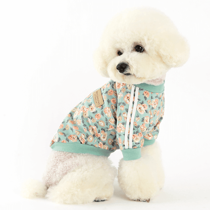 Nancy Track Top Mint for pets featuring a cute design, suitable for daily stylish wear.