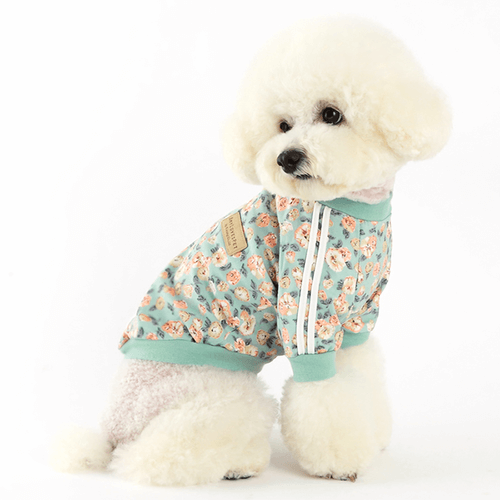 Stylish dog in Nancy Track Top Mint, featuring a floral design and comfortable fit for pets.